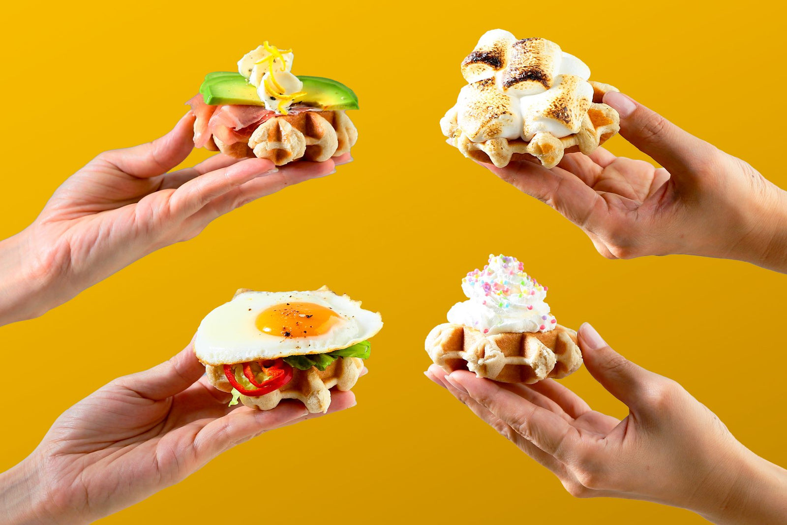 waffle_202607_5_main_v2.jpg